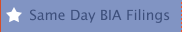 Same Day BIA Filings