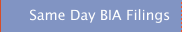 Same Day BIA Filings